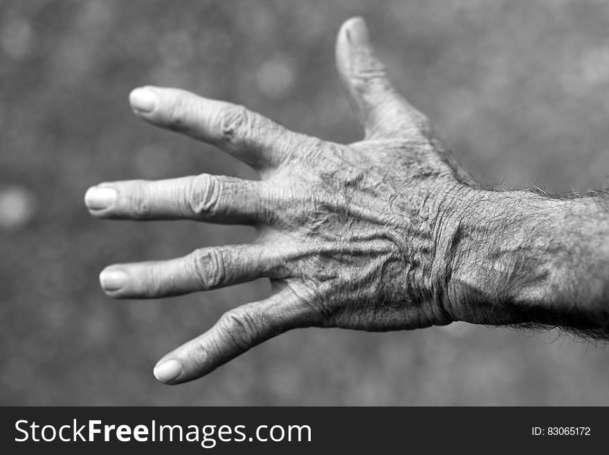 Grayscale Photo of Left Human Hand