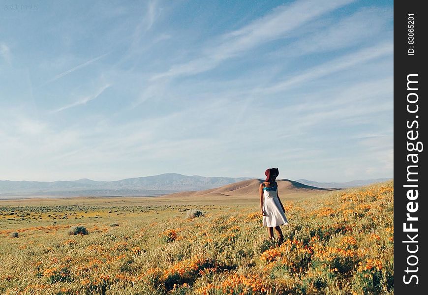 Woman In White Sundress Standing On Flower Field During Daytime