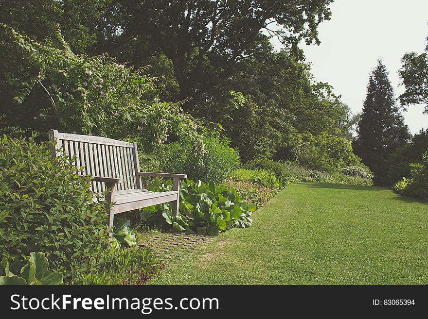 A green garden with a wooden bench. A green garden with a wooden bench.