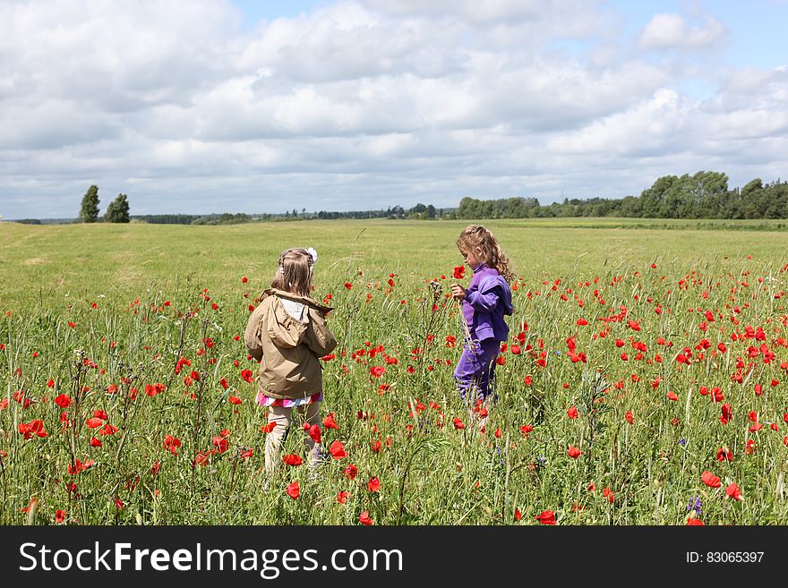 Girl in Purple Zip Up Hoodie Holding a Red Flower Near on a Girl in Brown Hoodie Surrounded by Re Petaled Flower