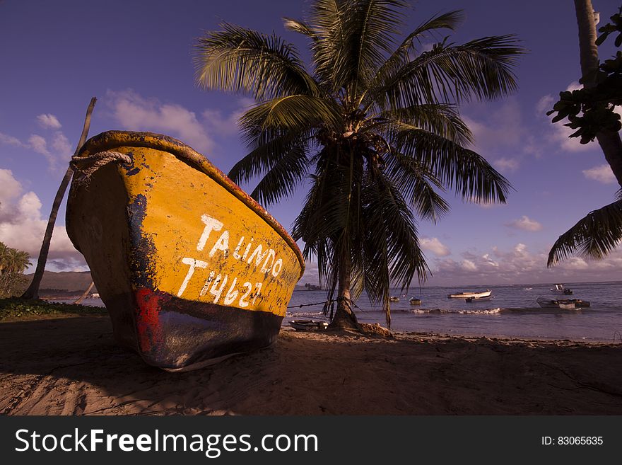 Brown and Black Boat on Shore Near Coconut Trees Under Blue Sky and Clouds