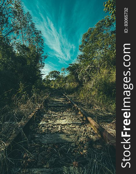 Brown Rail Way Near Green Trees Under Cloudy Blue Sky at Daytime