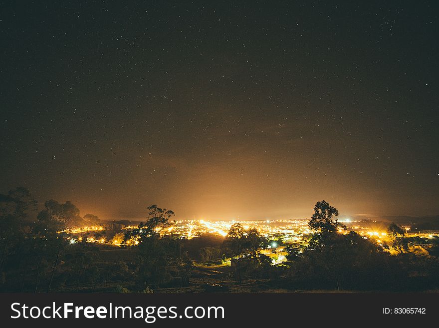City Lights Surrounded by Trees during Nighttime