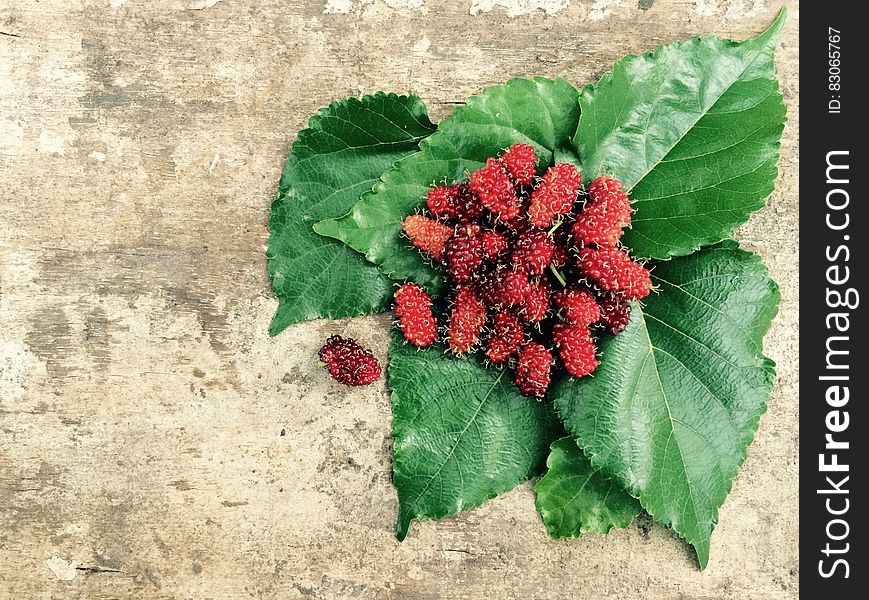 Red Fruit and Green Leaf