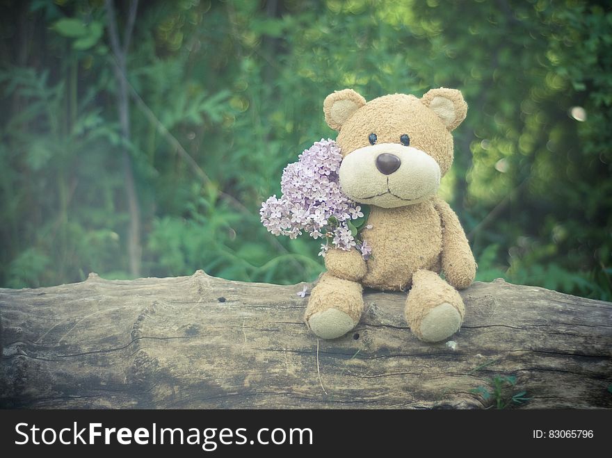 Brown Teddy Bear Holding Pink Flower Bouquet