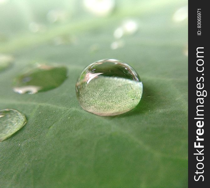 Close up of water droplets on green leaf. Close up of water droplets on green leaf.