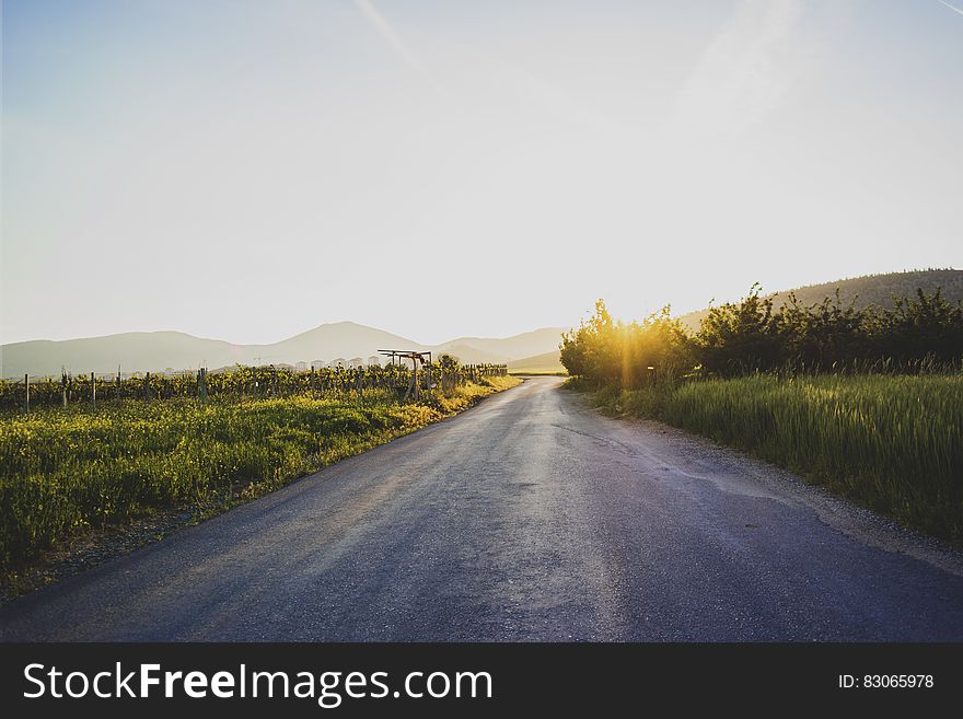 Empty country road through green meadows with setting sun.