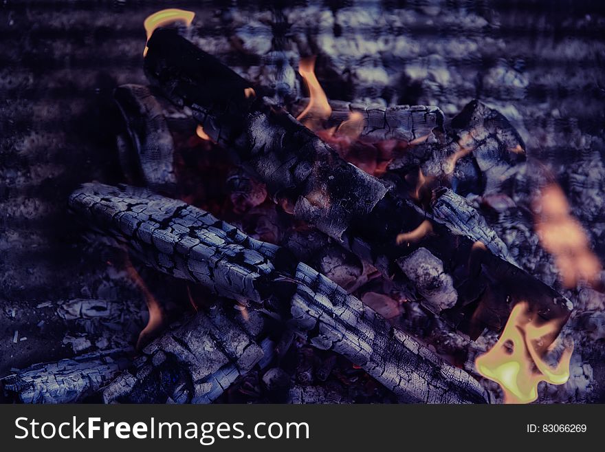 Logs In Bonfire