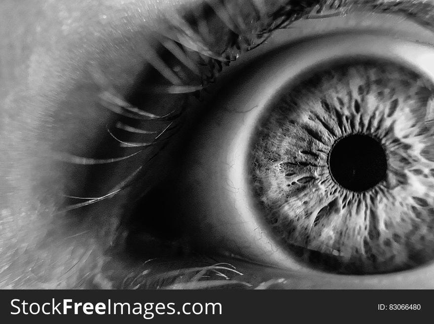 Grayscale Photo of Human Eye