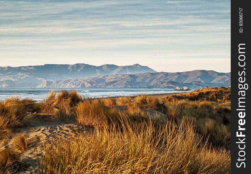 Brown Grass Near Mountains During Daytime