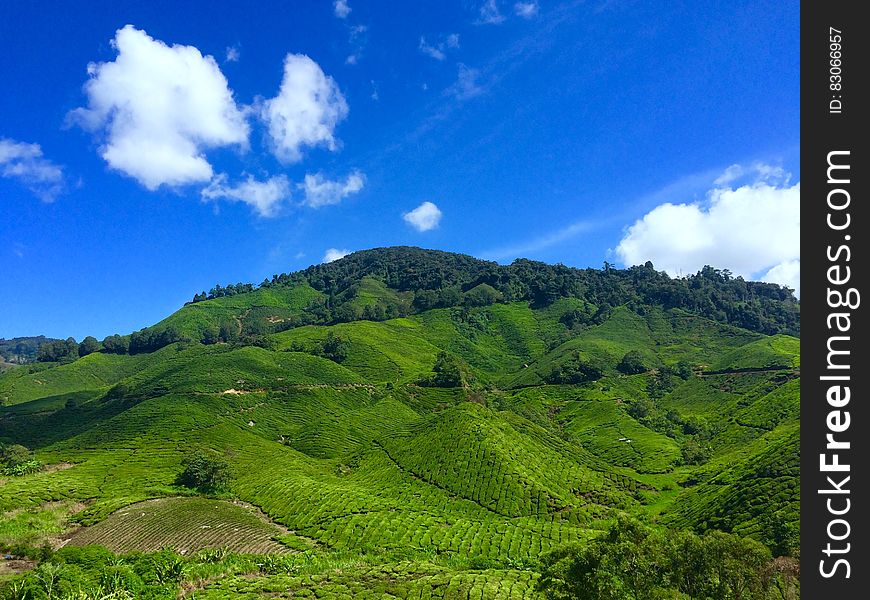 Landscape Photography of Green Hill Under Blue Sky and White Clouds during Daytime