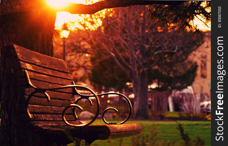 Brown Wooden Bench on Sunset