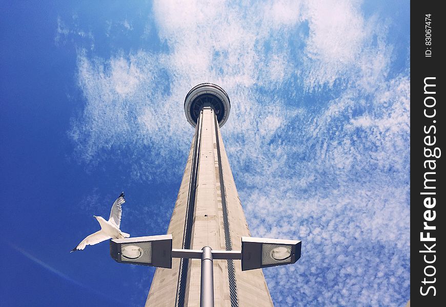 The CN tower in Toronto against the blue skies. The CN tower in Toronto against the blue skies.