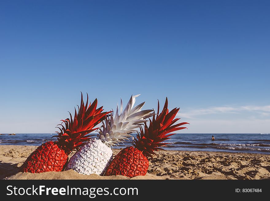 Three painted pineapples in the sand on a beach. Three painted pineapples in the sand on a beach.
