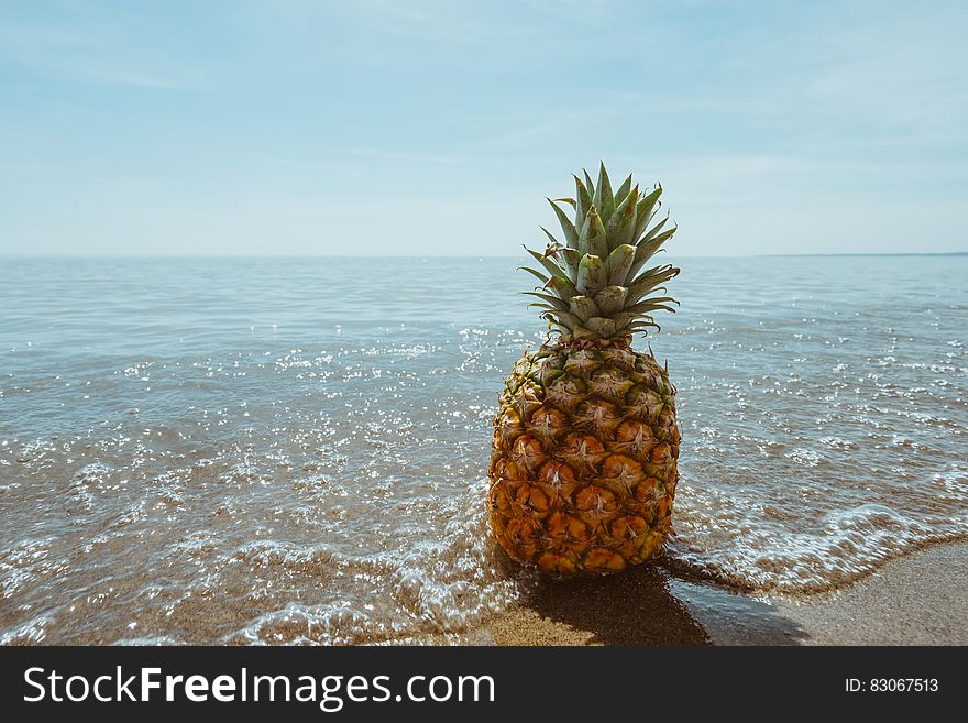 A pineapple in the water at sea. A pineapple in the water at sea.