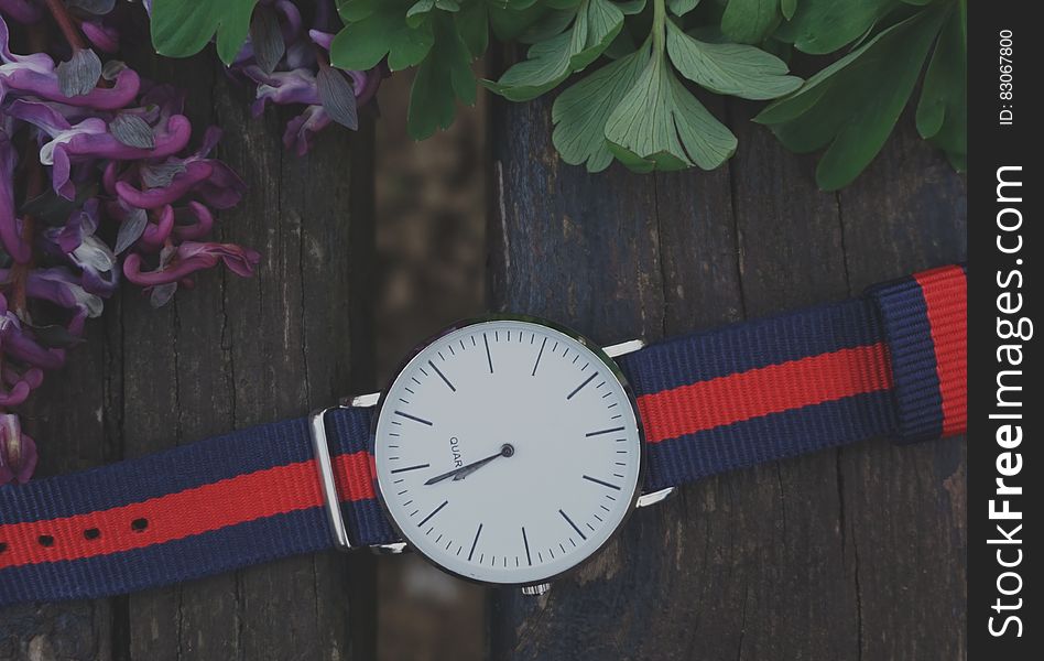Blue and Red Strap Silver Round Analog Watch Beside Purple and Green Leaf Plant