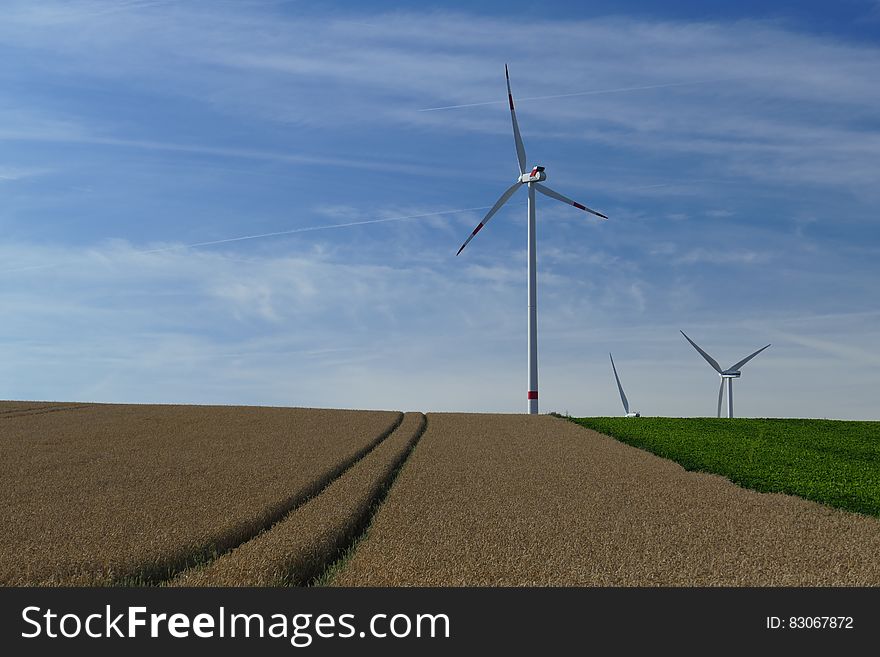 White Windmills