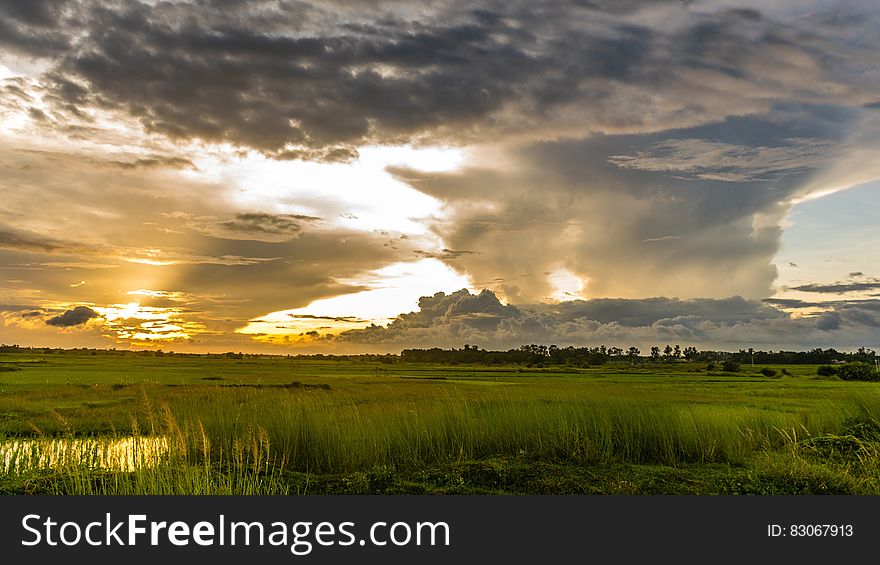 Macro Shot of Green Grass Field Under Cloudy Sky during Sunset