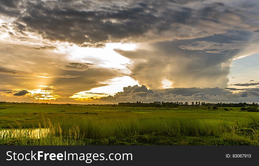 Macro Shot Of Green Grass Field Under Cloudy Sky During Sunset