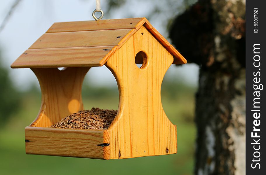 Brown Wooden Bird House Hanging on Tree