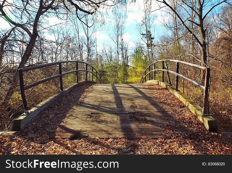 Bridge Photography during Daytime