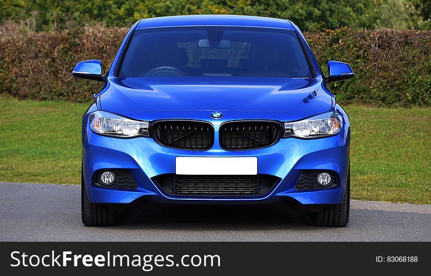 Blue Bmw Sedan Near Green Lawn Grass