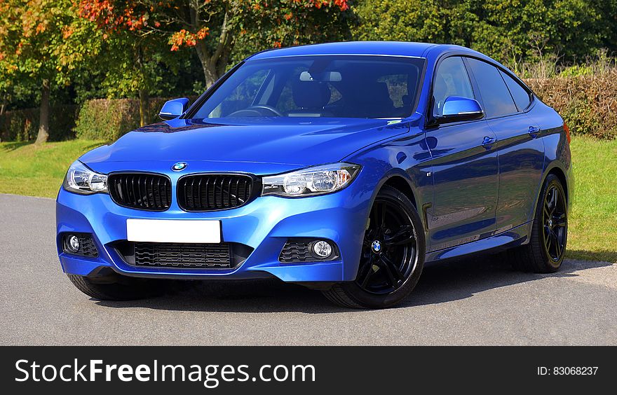 Blue Bmw Sedan Near Green Lawn Grass