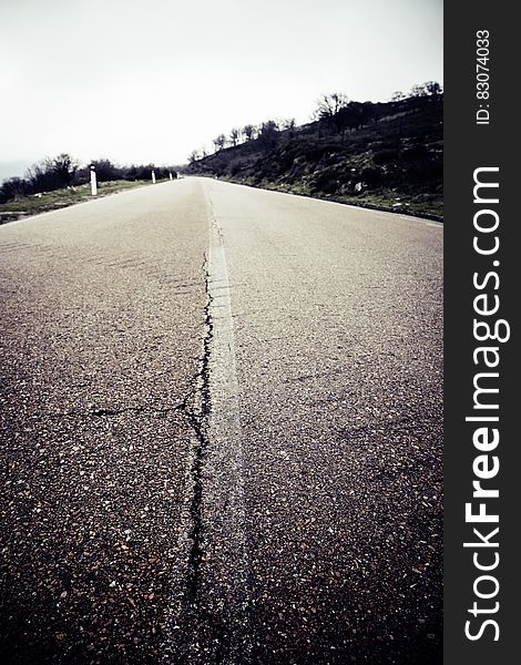 Grey Concrete Road Near Trees Above White Sky during Daytime