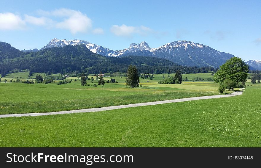 Green Trees On Green Grass Field