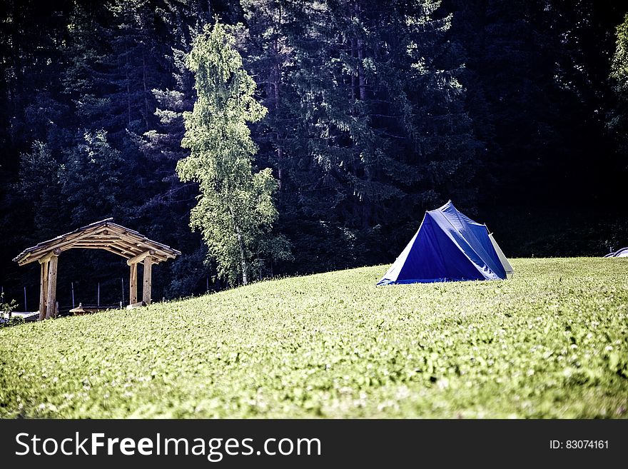 Blue and White Tent on Green Grass Field Near Green Tree