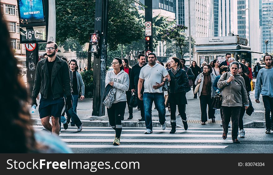 People Walking on Pedestrian Lane during Daytime