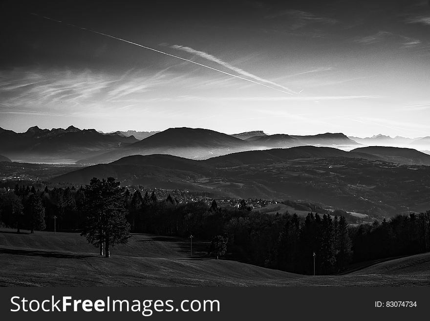 Grayscale Photo of Trees Near Mountains