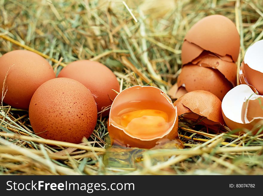 Brown Eggs in Nest