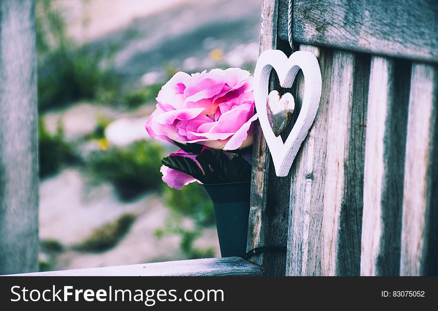 Heart and flowers on bench