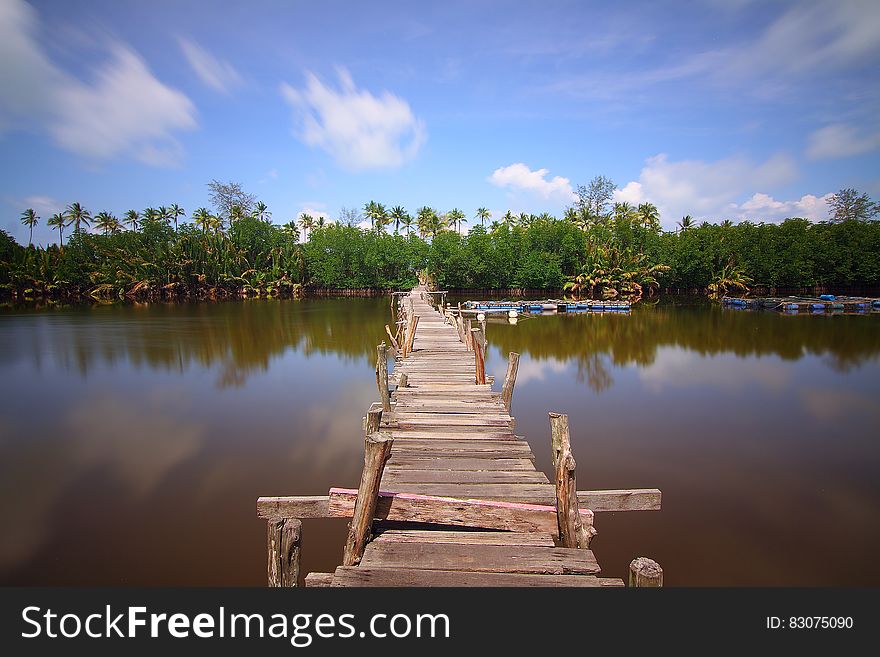 Rustic wooden bridge over lake on sunny day.