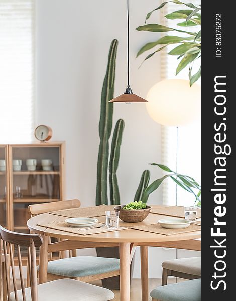 Green Cactus Plant Near to White Ceramic Plate on Brown Wooden Table