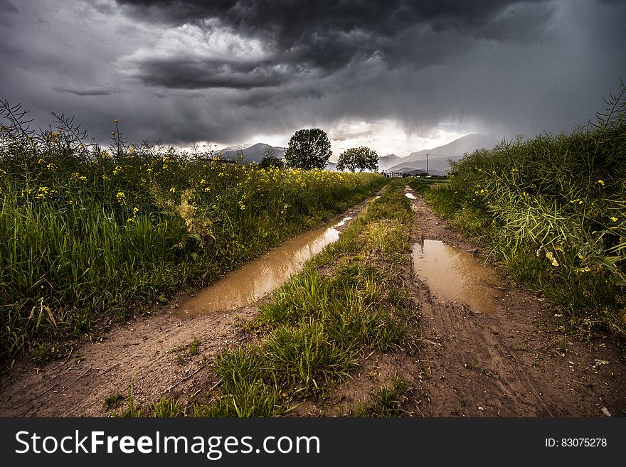 Muddy Road Through Country Fields