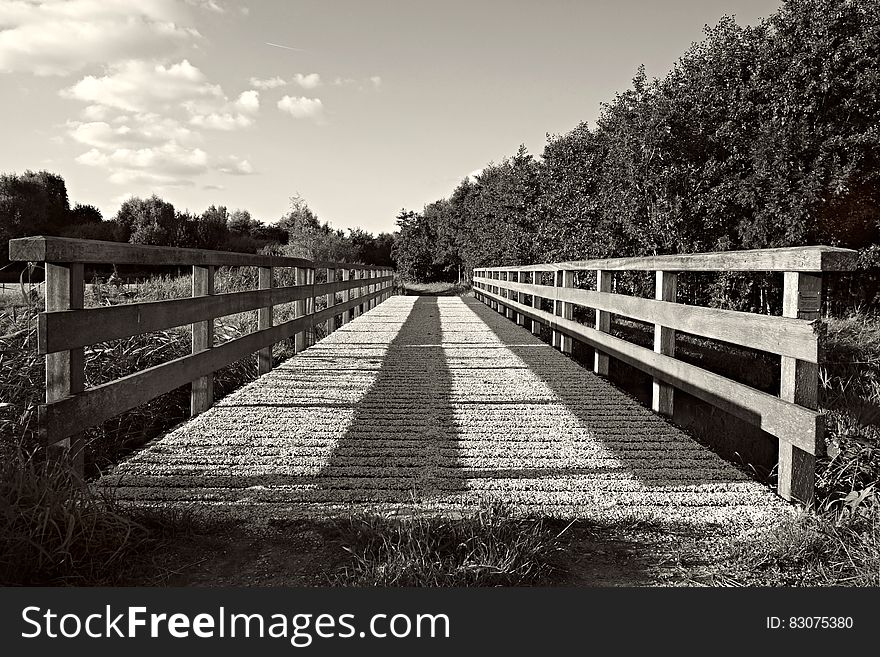 Grayscale Photography of Bridge