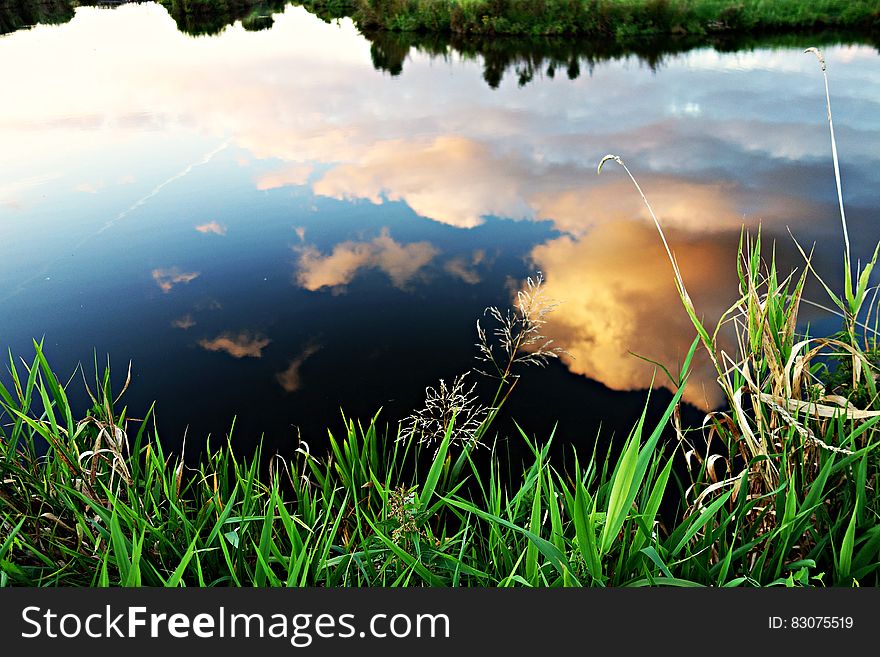 Reflection Of White Clouds On Pond