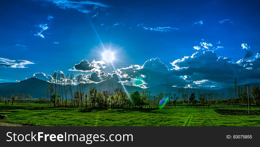 Trees and Grass Field Under Cloudy Sky during Daytime