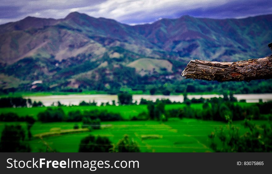 Landscape Photography of Mountains and Trees