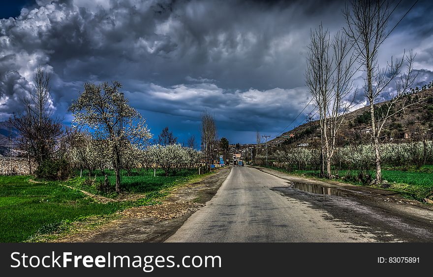 Empty Concrete Road Surrounded by Trees and Grass Under Blue Sky With Heavy Clouds