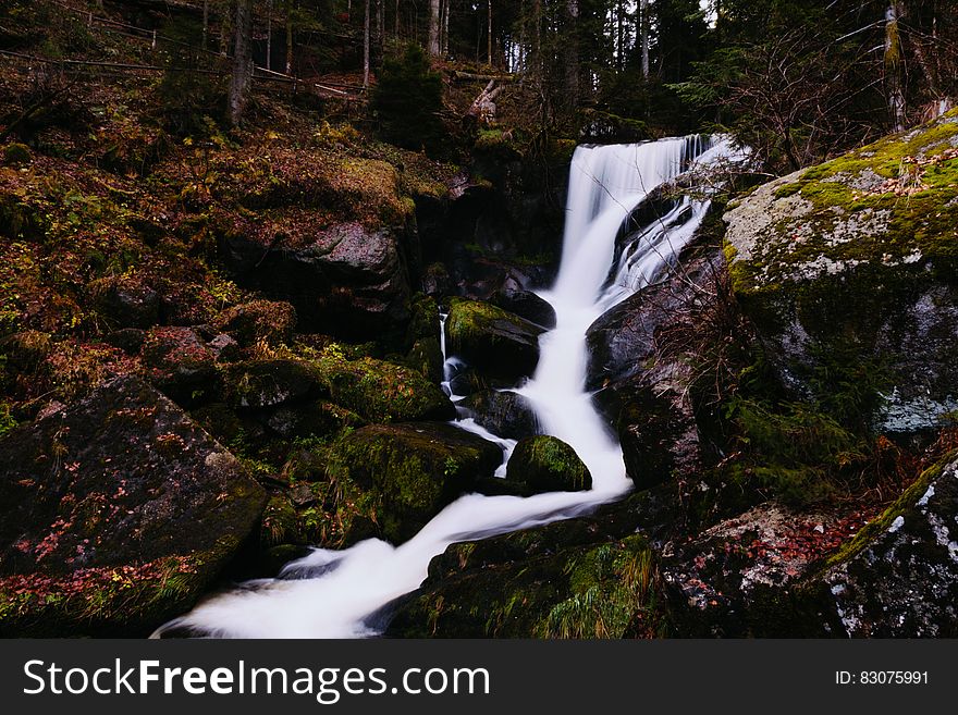 Waterfall and a creek with a few riffles in a forest. Waterfall and a creek with a few riffles in a forest.