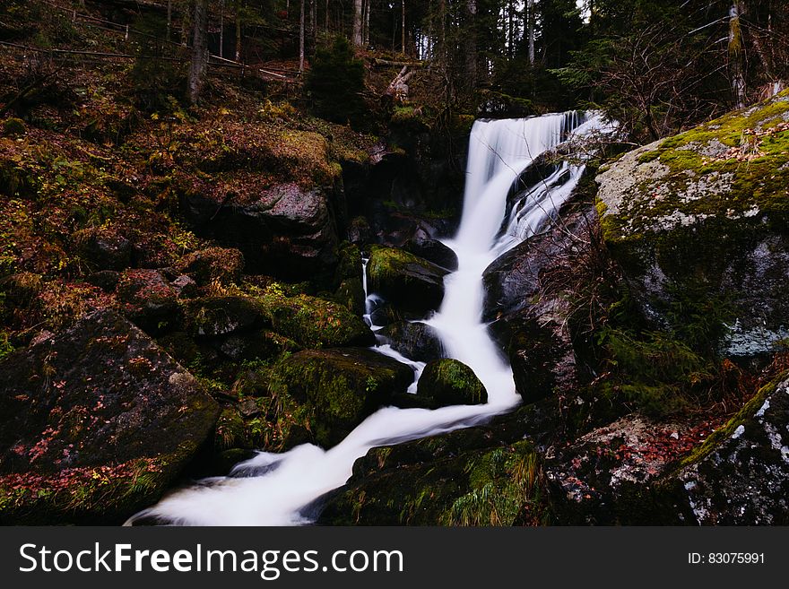 Forest Waterfall