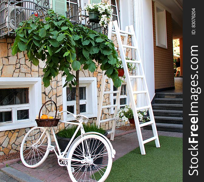 White Step Through Bicycle Leaning Beside Tree Plant