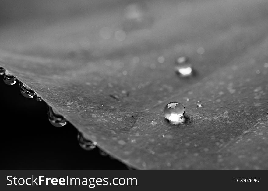 Grayscale Photography of Water Droplets