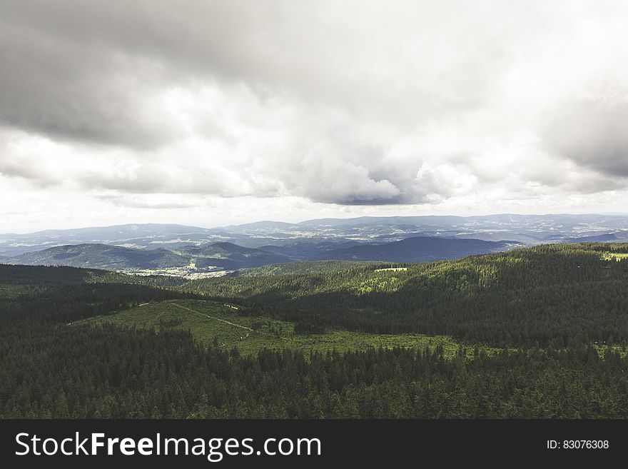 Green Trees On Mountain