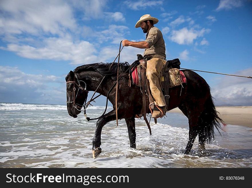 Man with horse wading in water