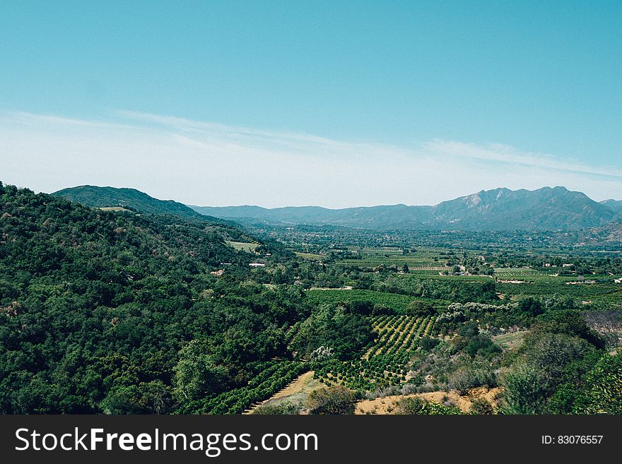 Scenic countryside landscape with vineyard in foreground. Scenic countryside landscape with vineyard in foreground.
