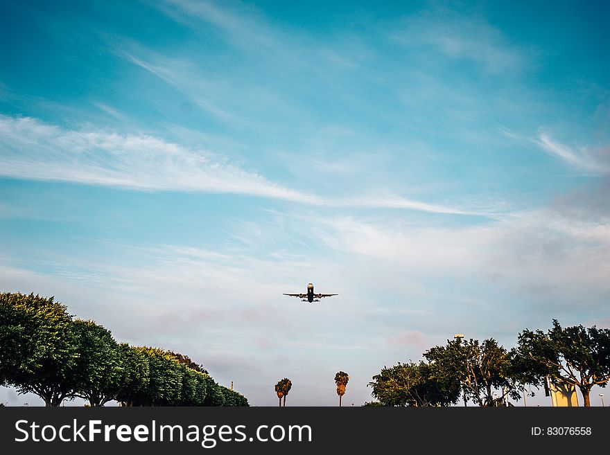 Airplane in flight descending to land with rows of trees in foreground.